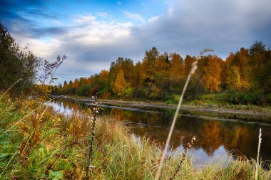 Sonbaharda orman nehri