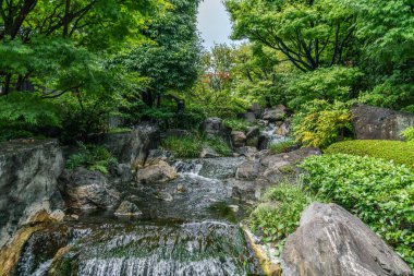 Shady clean stream flows in Tokyo park on a clear sunny day. Summer 2019. 	