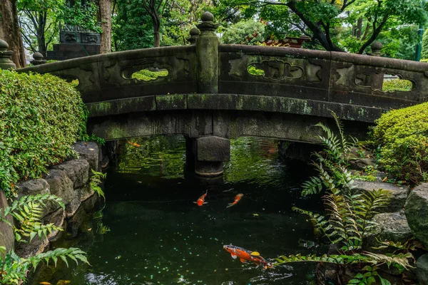 Vieux Pont Pierre Dans Forêt Dessus Ruisseau Japon Été 2019 Images De Stock Libres De Droits