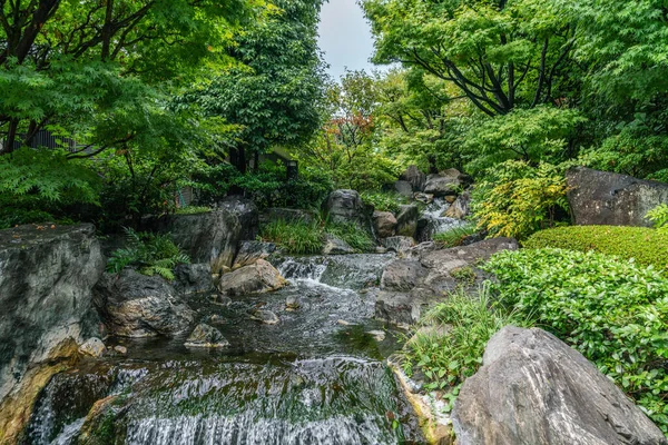 Shady Clean Stream Flows Tokyo Park Clear Sunny Day Summer Stok Lukisan  