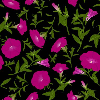 Çiçek açan petunyalar ile renk deseni