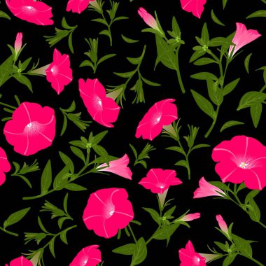 Çiçek açan petunyalar ile renk deseni