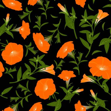 Çiçek açan petunyalar ile renk deseni