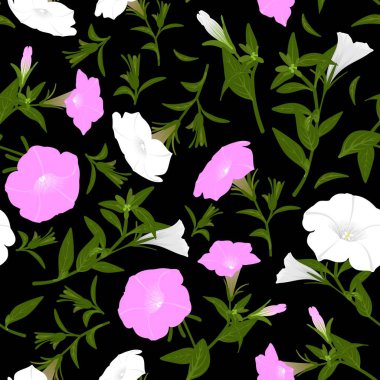 Çiçek açan petunyalar ile renk deseni