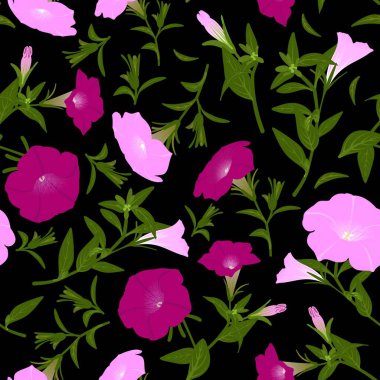 Çiçek açan petunyalar ile renk deseni