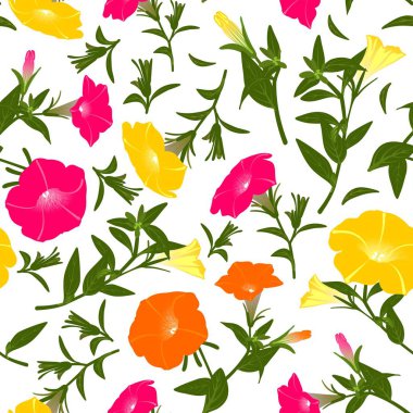 Çiçek açan petunyalar ile renk deseni