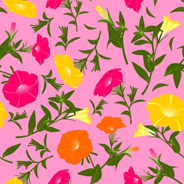 Çiçek açan petunyalar ile renk deseni