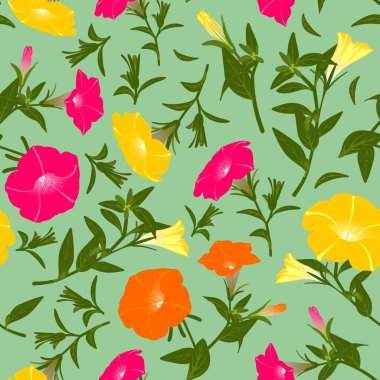 Çiçek açan petunyalar ile renk deseni