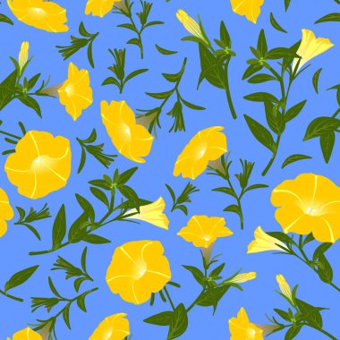 Çiçek açan petunyalar ile renk deseni