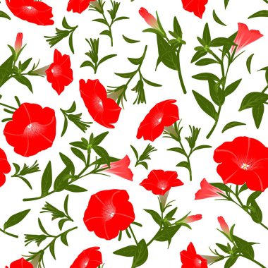 Çiçek açan petunyalar ile renk deseni