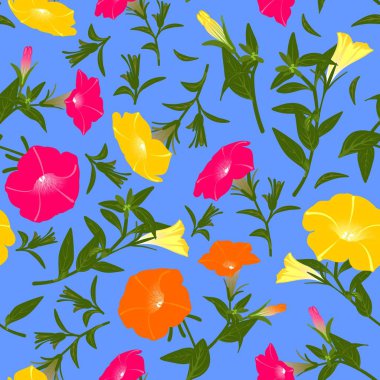 Çiçek açan petunyalar ile renk deseni