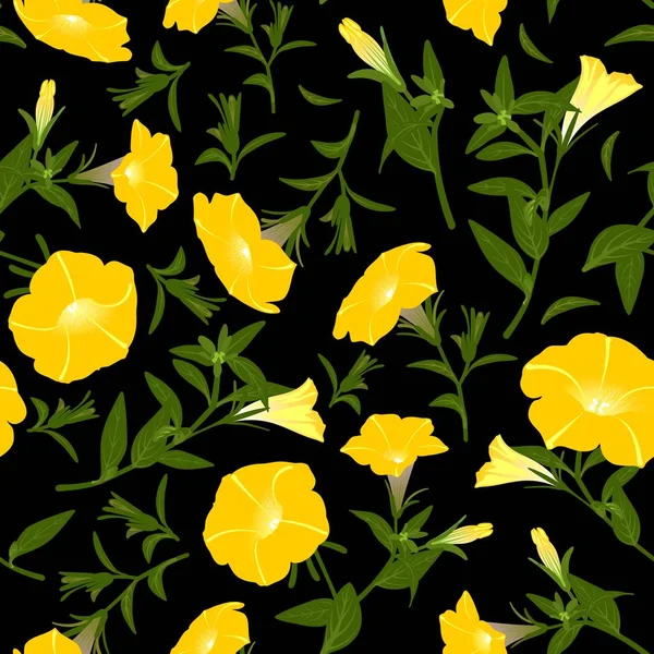 Çiçek Açan Petunyalar Ile Renk Deseni — Stok fotoğraf