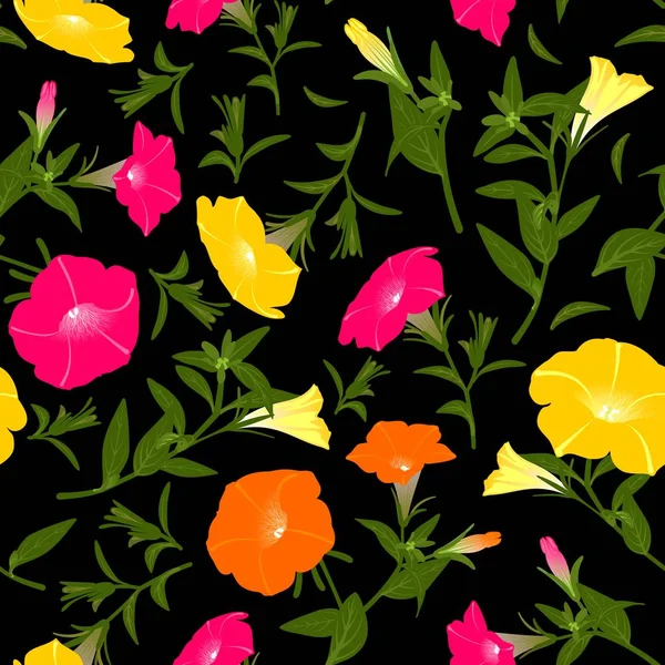 Çiçek açan petunyalar ile renk deseni