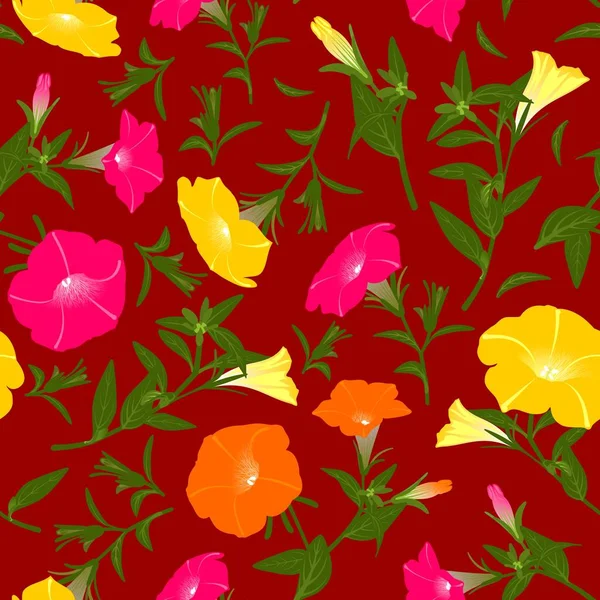 Patrón Color Con Petunias Florecientes — Foto de Stock