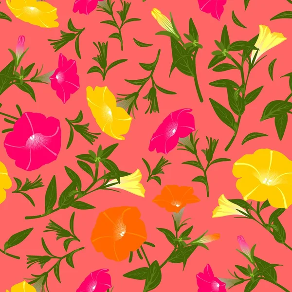 Çiçek açan petunyalar ile renk deseni