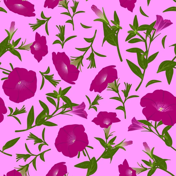 Farbmuster Mit Blühenden Petunien — Stockfoto