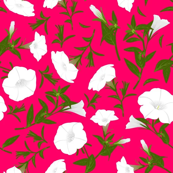 Farbmuster Mit Blühenden Petunien — Stockfoto