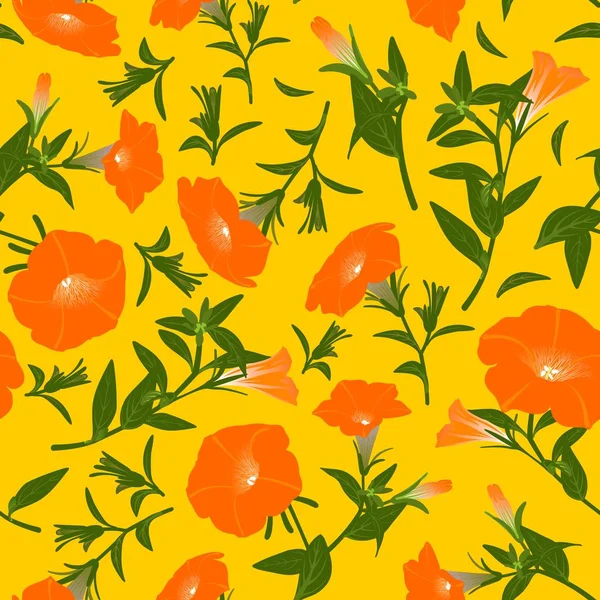 Çiçek açan petunyalar ile renk deseni