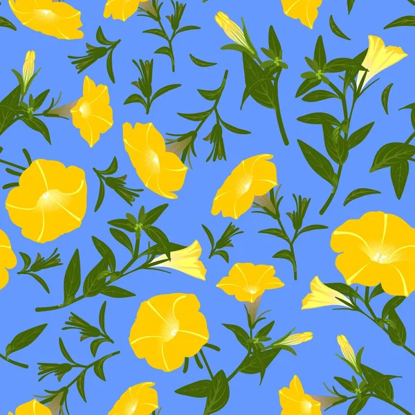 Çiçek açan petunyalar ile renk deseni