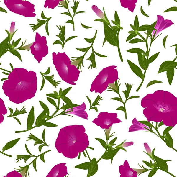 Çiçek açan petunyalar ile renk deseni