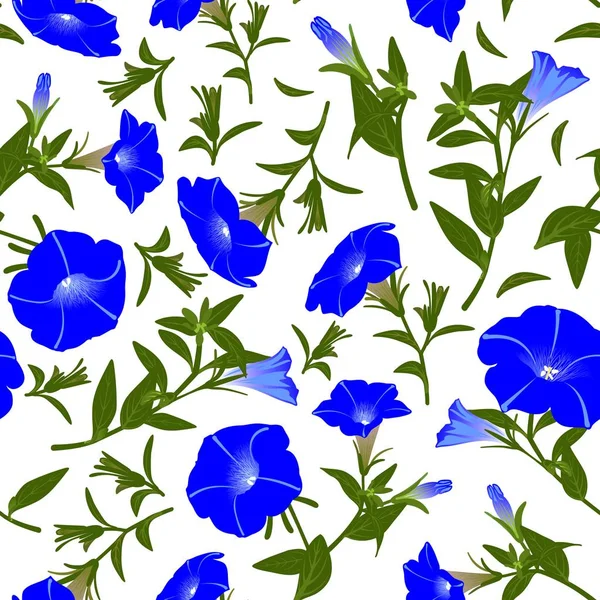 Färg Mönster Med Blommande Petunior — Stockfoto