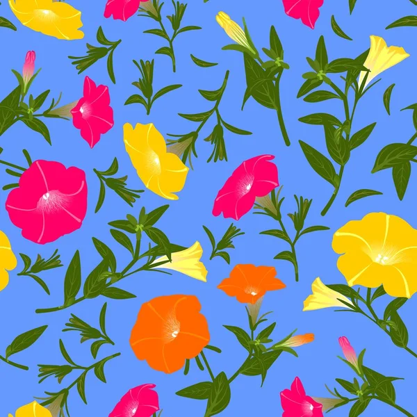 Çiçek açan petunyalar ile renk deseni