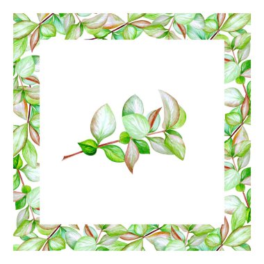Yeşil yaprakları ile suluboya çerçeve