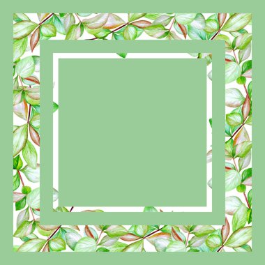 Yeşil yaprakları ile suluboya çerçeve