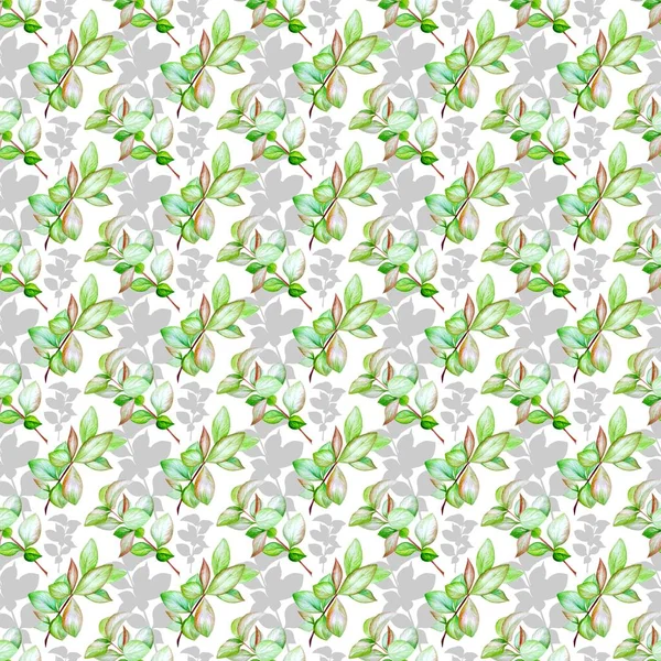 Aquarell Nahtloses Muster Mit Blättern Japanische Quitte — Stockfoto