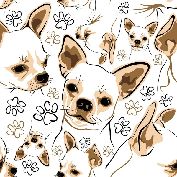 Chihuahua ve köpek aksesuarları ile dikişsiz vektör deseni