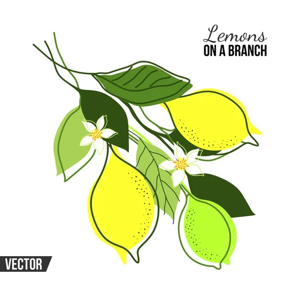 Композиция Лимонным Древом Листья Фрукты Векторе — стоковый вектор