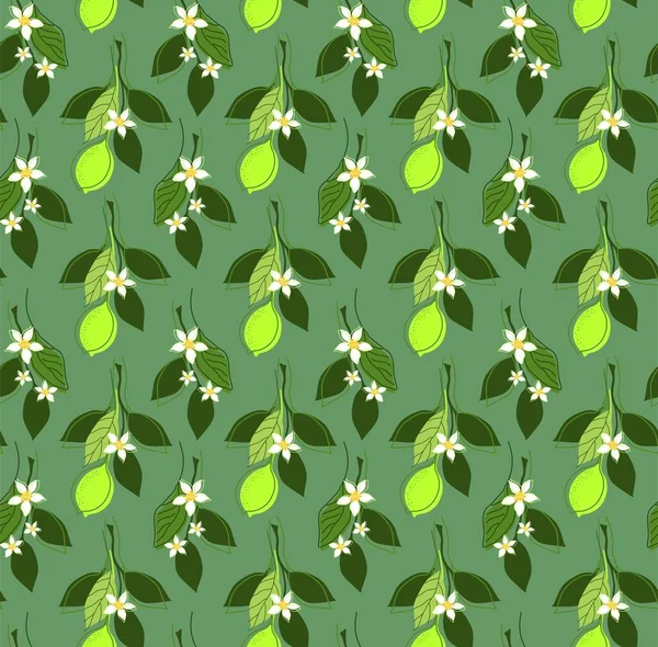 Vector中带有Lime树Branches和Fruits的Seamless Pattern — 图库矢量图片
