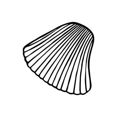 VECTOR 'DA BİR BEYAZ BÖLGESİ SAHİL EDİLDİ