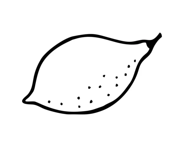 Description Lemon Sur Contexte Blanc Dans Vecteur — Image vectorielle
