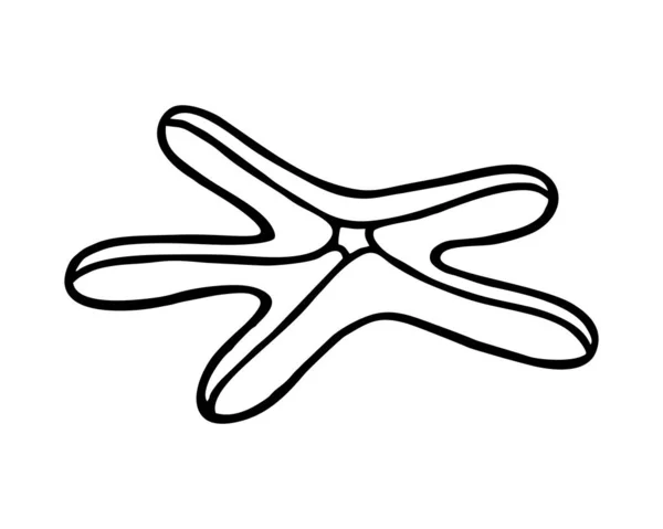 Trait Starfish Sur Contexte Blanc Dans Vecteur — Image vectorielle