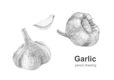 BİR KADIN GARİK KİŞİ Kağıtla PENSİL EDİLDİ