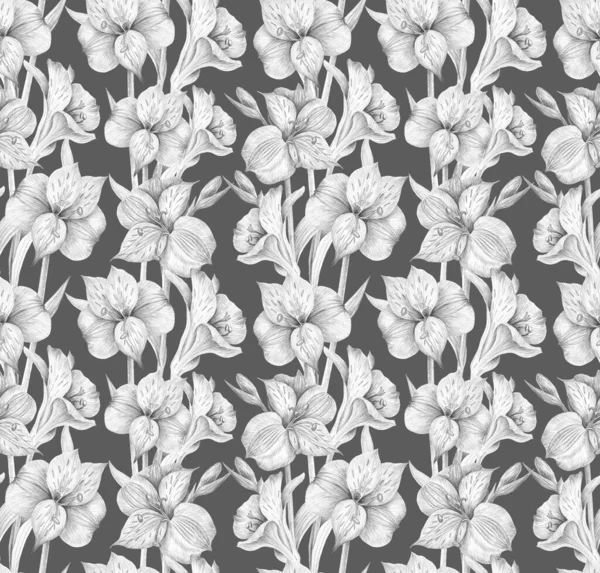 Seamless Grey Background Com Flores Drawn Alstroemeria — Fotografia de Stock