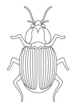 Bembeyaz bir zeminde bir böcekle renklendirme kitabı.