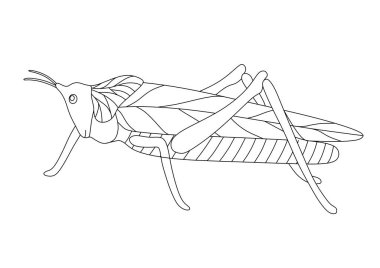 BEYAZ BİR GİRİŞ KAHRAMINDA BİR ÇİM KİŞİMİ