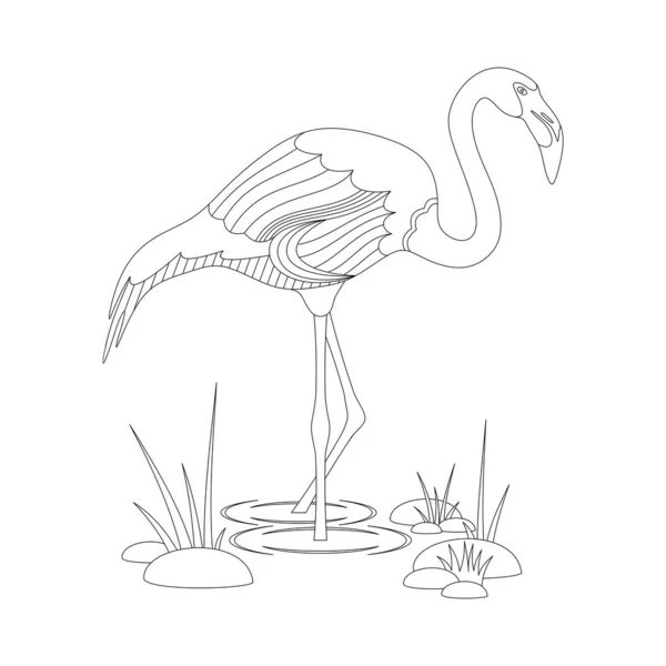 Farbbuch Mit Flamingos Auf Einem Weißen Hintergrund — Stockvektor