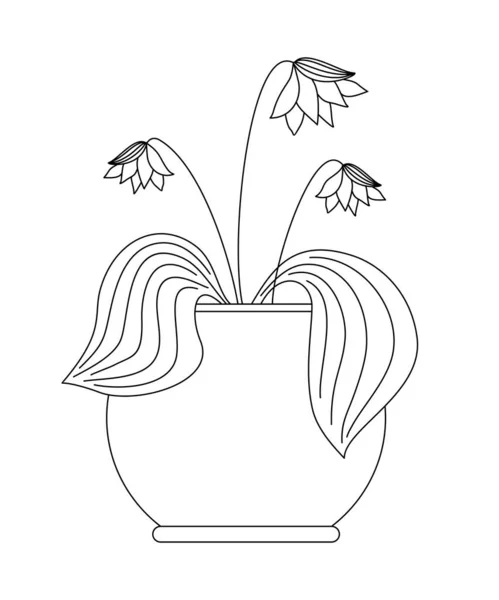 Livre Coloration Avec Fleur Intérieure Lily Dans Vecteur — Image vectorielle