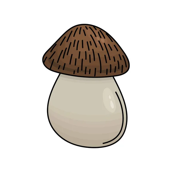 Boletus Mushroom Background Branco Vector —  Vetores de Stock