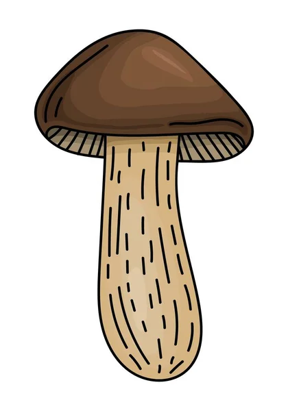 Boletus Mushroom Auf Einem Weißen Hintergrund Vektor — Stockvektor