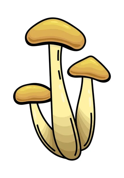 Vector Vizsgálat Fehér Háttér Mushroomja — Stock Vector