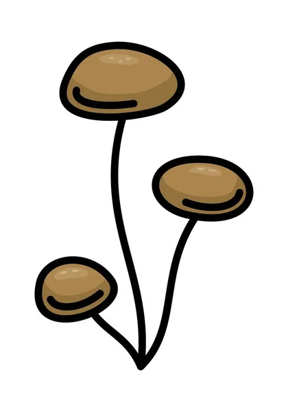 Brown Mushroom Vector Fehér Háttérén — Stock Vector