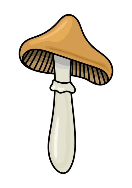 Beige Mushroom Auf Einem Weißen Hintergrund Vektor — Stockvektor