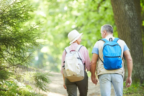 Rückansicht Eines Älteren Wandererpaares Mit Rucksack Das Sommer Auf Dem — Stockfoto