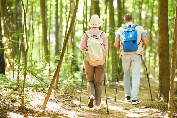 Seniorenpaar Unterhält Sich Gesund Beim Wandern Wald Nordic Walking — Stockfoto
