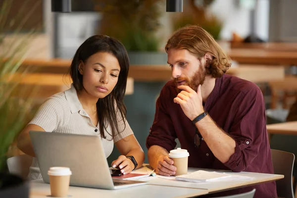 Alvorlig Ung Kvinne Som Peker Dataskjerm Diskuterer Online Arbeid Sammen – stockfoto