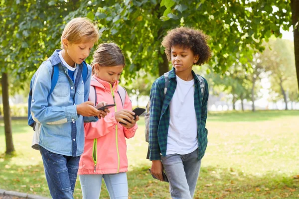Grupo Crianças Escola Roupas Casuais Andando Juntas Parque Usando Telefones — Fotografia de Stock